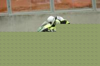 francisco javier rey